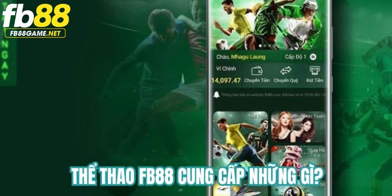 Chuyên mục thể thao FB88 cung cấp những gì?