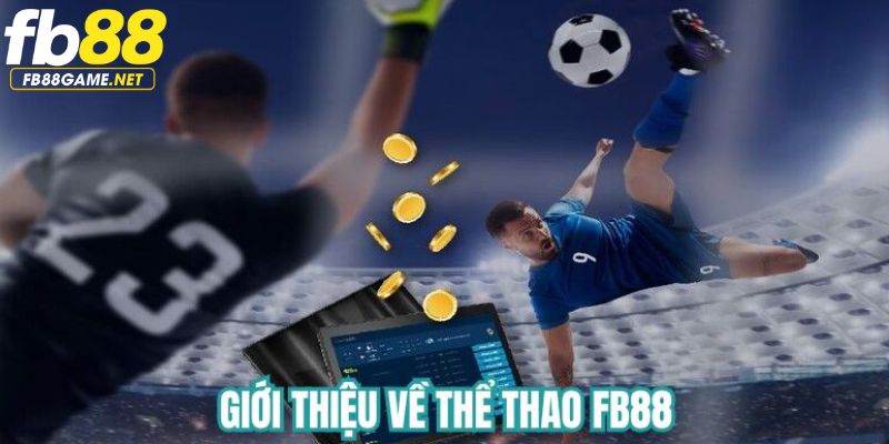 Đôi nét về thể thao FB88